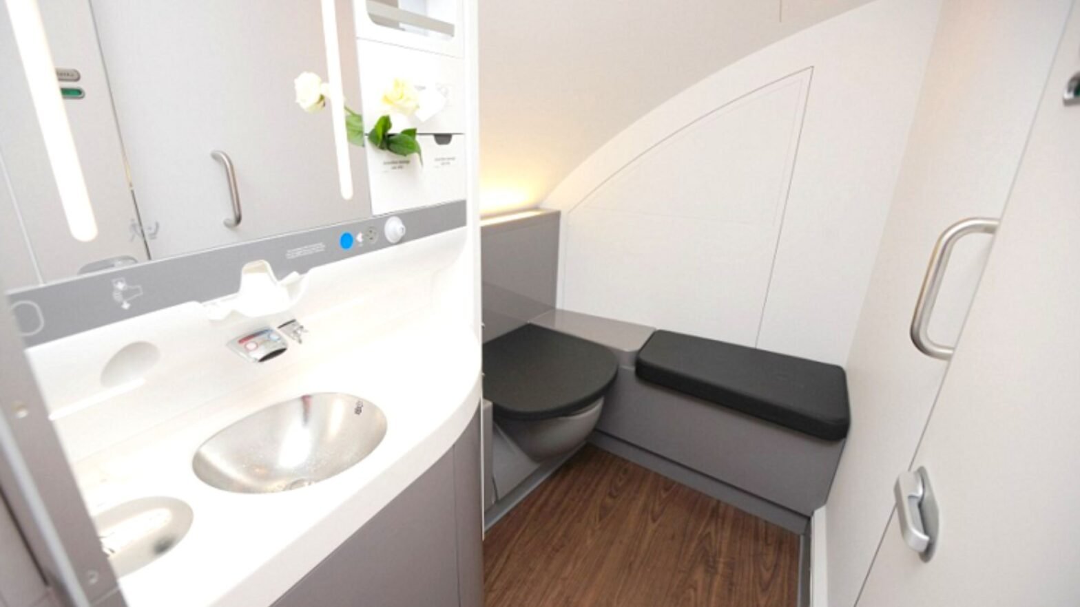 Airplane Bathroom Etiquette: Yes, This Needs to Be Said
